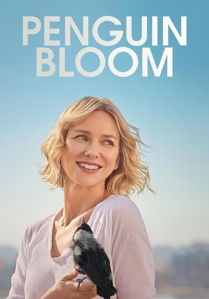 Penguin Bloom movie watch stream online